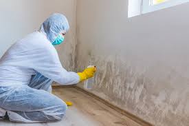 Reliable Inwood, FL Mold Prevention & Removal  Solutions